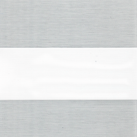 zb005